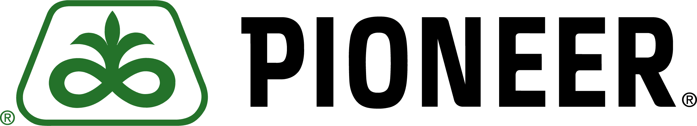 Partner 3