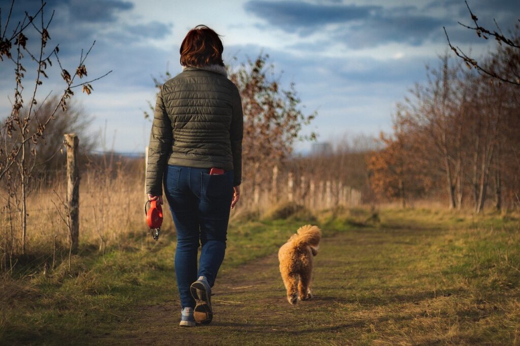 walking dog for heart health